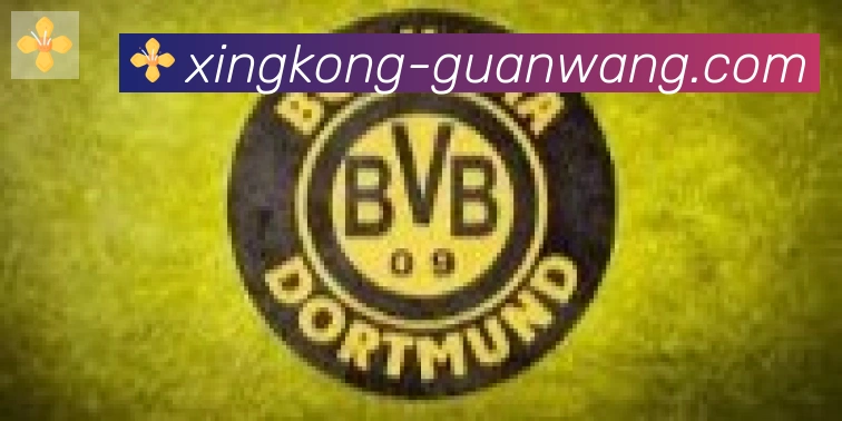 星空体育官网入口合作伙伴