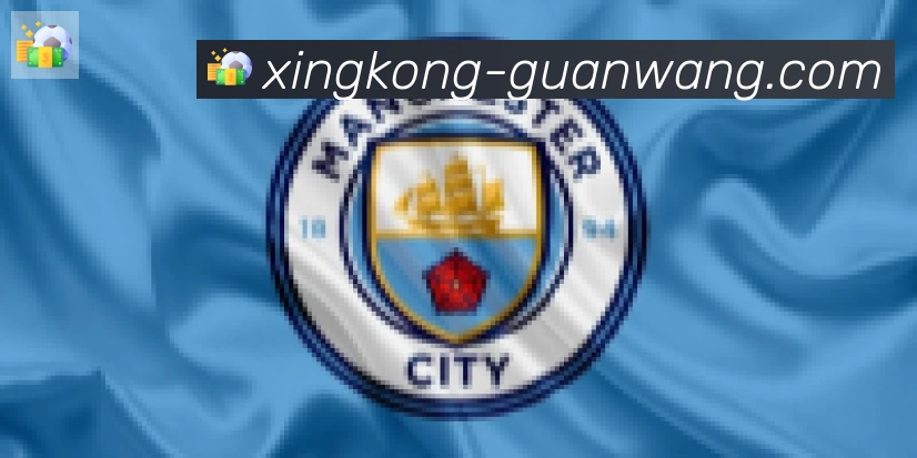 星空体育官网入口合作伙伴