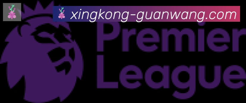 星空体育官网入口合作伙伴